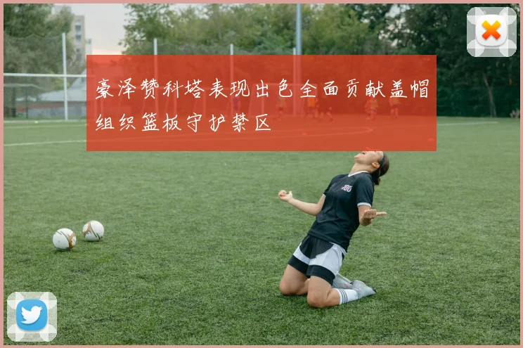 豪泽赞科塔表现出色全面贡献盖帽组织篮板守护禁区
